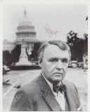 Steiger, Rod